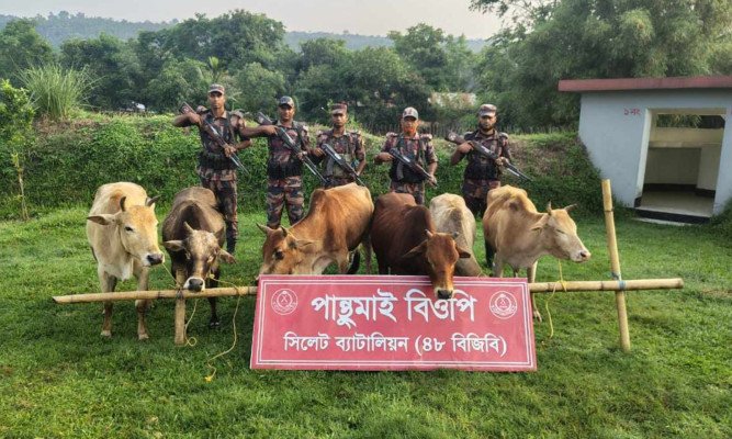সিলেটে সীমান্তে আড়াই কোটি টাকার চো রা ই পণ্য আ ট ক 